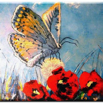 peinture  Papillons et Coquelicots  Nature