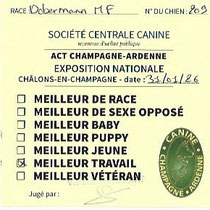 Les cartons qualificatifs