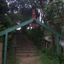 Eingang zu einem Wanderweg in Rawhiti