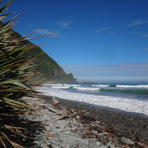 An diesem steinigen Strand, suchten wir nochmal nach Greenstones... Erfolg nach wie vor ungewiss ;)