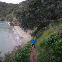 Abstieg in die Oke Bay