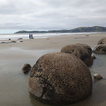 Die Moeraki Boulders, die bei Ebbe erreichbar sind