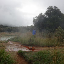 3 warme Pools in unterschiedlichen Wärmegraden 