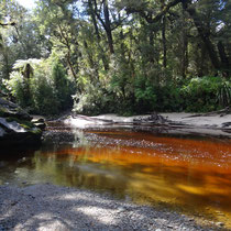 Das Wasser beginnt richtig golden zu leuchten in der Sonne