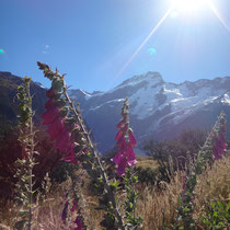 Bestes Wetter und eine wunderschöne Landschaft... was will man mehr!