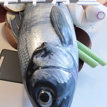 Bemalung Fisch-Dummy