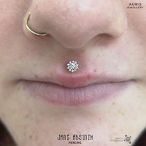 Philtrum oder Medusa Piercing mit dem 14K Gelbgold Aufsatz von Auris Jewellery