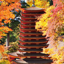 奈良･談山神社