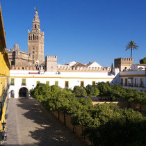 Patio de Banderas, Sevilla