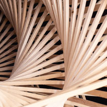 Artist:  Johannes Hofbauer