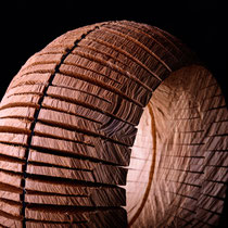 Artist:  Johannes Hofbauer