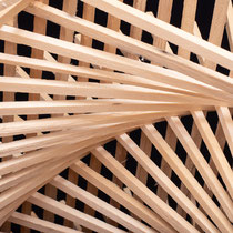 Artist:  Johannes Hofbauer