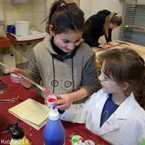 Foto: G. Hulitschke