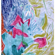 Oxalis:  8" x 10"  Ink & pastel on paper  $350.00
