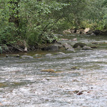 Haut Morvan