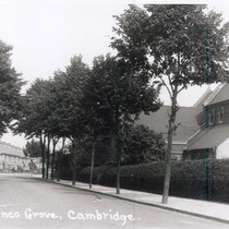 Blinco Grove & church