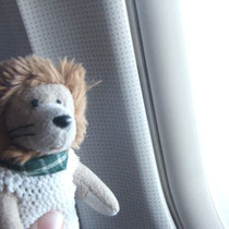 Mini-Leo Im Flugzeug nach Berlin. Sandy hält Pfötchen gegen die leichte Flugangst.