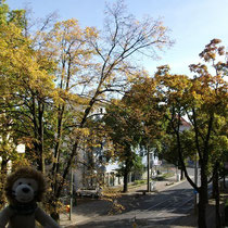 Herbst in Karlshorst ...