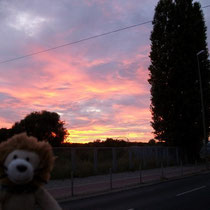 Wieder in Berlin, auf dem Weg zum Bewegungsbad, mussten wir dann noch einmal anhalten, um diesen wunderschönen Sonnenuntergang zu fotografieren.