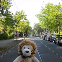 Noch säumt das Grün die Straßen in Karlshorst, aber die Kronen der Bäume lichten sich schon langsam.