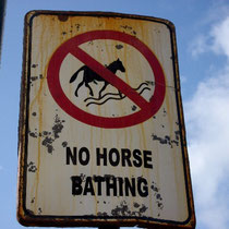 Pferde haben wir zwar nicht gesehen, aber dieses Schild.