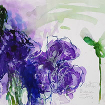 WILHELM FROSTING, Schwarze Iris, Aquarell, 45 x 65 cm