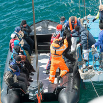 Auf zur ersten Zodiac-Tour - 8 Zodiacs hatte die Delphin an Bord