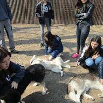 DL 2 und 3 besuchen die Husky - Farm