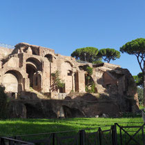 Rome - Mont Palatin - Le palais de Septime Sévère -