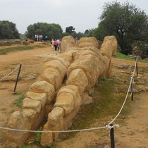 Agrigente - Un géant de pierre couché au pied du Temple donne une idée des proportions de l'édifice.