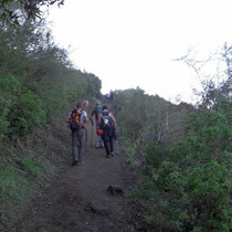Stromboli - Sur le sentier en montant au cratère.
