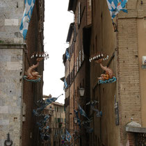Sienne - Le quartier de l'Onda, vainqueur du Palio du 16 Août 2013.