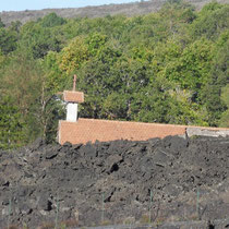 Le long de la route, des champs de lave, et une chapelle engloutie restée intacte.
