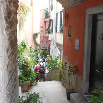 Les Cinque Terre - Vernazza- Une suite de petites ruelles qui mènent à la rue principale/