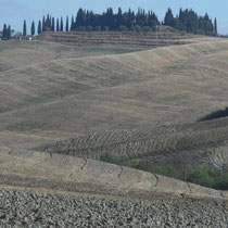 Toscane - le Val d'Orcia - 