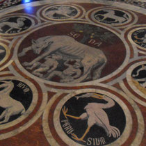 Sienne - Le Duomo -  La louve de Sienne (au centre) et les emblèmes de la ville.