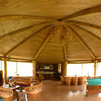Salon multiusos, dos chimeneas, vista 360º al bosque