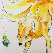 木の実　Wolf  Berry 