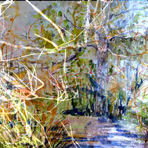 "Zauberwald" Mixed Media, Fotodruck 76 x 53 cm