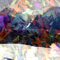 "Blütenregen über dem Watzmann" Mixed Media, Fotodruck 76 x 53 cm