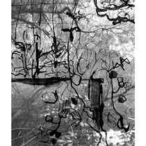 "Bluntautal" Mixed Media, Fotodruck 49 x 39cm