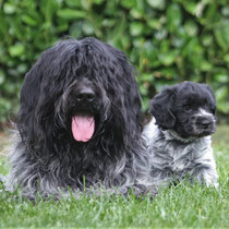 Cooper mit Enkeltochter