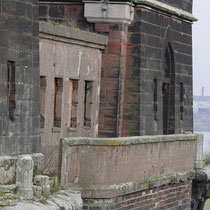 Nilgans auf dem historischen Brückenturm, Aufnahme-Datum: 21.02.2019