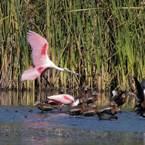 Photo by Ben Hanson