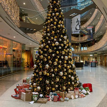 12/25 Weihnachtswunschbaum im Düwell