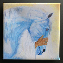 canvaste 20 x 20 