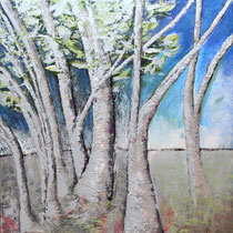 " Bouleaux" 80 x 80 cms - Acrylique et huile sur toile - 1200€