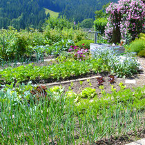 Der Bauerngarten