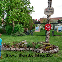 Suevit-"Stein des Jahres 2024"-am Maibaum