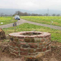 Der Brunnen im Januar 2011 